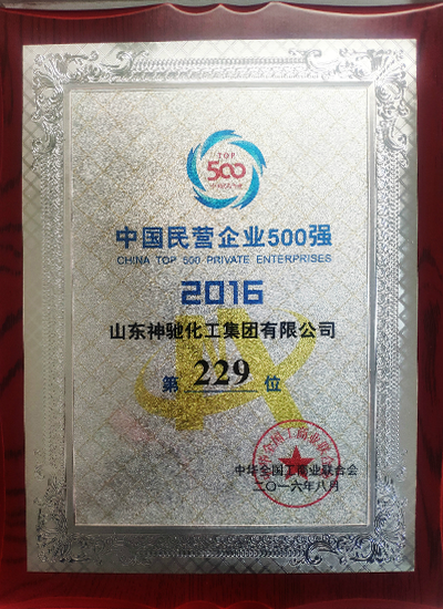2016年8月民營企業500強第229位